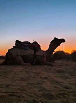 Take a moment to unwind and savor the simple pleasures of life, enjoying your tea and snacks! 
.
.
.
#hindustandesertcamp #hindustandesertcampjaisalmer #desertcamp #desertcamping #thardesert #qualitytime #jaisalmerdiaries #familytime #vacation #lifestyle #photooftheday #holiday #luxuryretreat #retreat #retreatlife #weekendretreat #jaisalmertrip